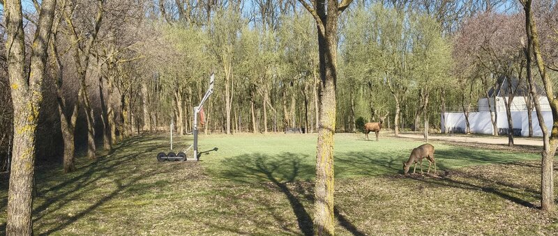 Afumati Codrul Vlasiei Ilfov-Terenuri in Comunitate de ELITA