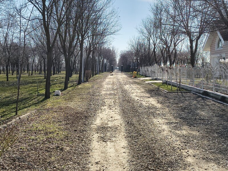 Afumati Codrul Vlasiei Ilfov-Terenuri in Comunitate de ELITA