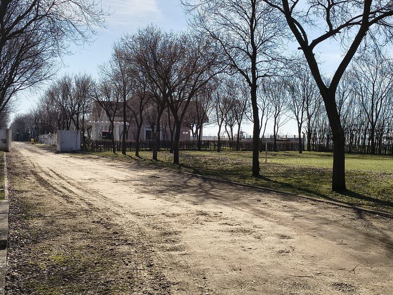 Afumati Codrul Vlasiei Ilfov-Terenuri in Comunitate de ELITA